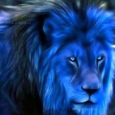 Piter Jaanssen (PiterJaanssen)