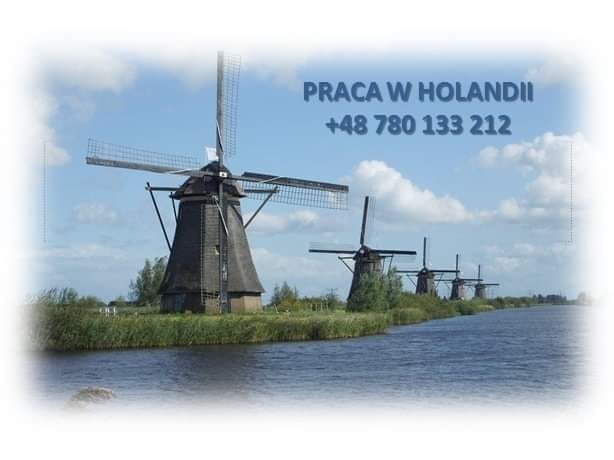 BestJobs  (BestJobs), Den Haag, Katowice