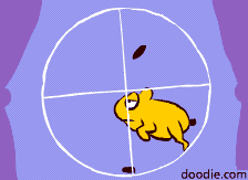 Tomek Marecki (Marco), Kerkrade, Piotrków Trybunalski