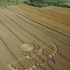 Mateusz Marek Wolff (MateuszMarekWolff)