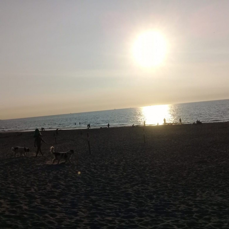 Elżbieta Wons (ElzbietaWons)