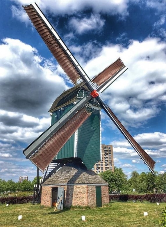 Dominika Nowacka (dominika78ona), Bergen po zoom, Toruń