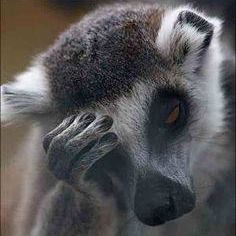 Ewa Piotrowska (EwaPiotrowska)