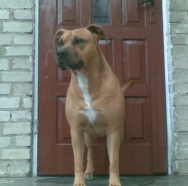 Damian Damian (Dajman8999), Venloo, Limburg, Białystok