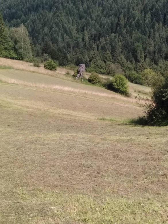 Konradoabc  (Konradoabc)