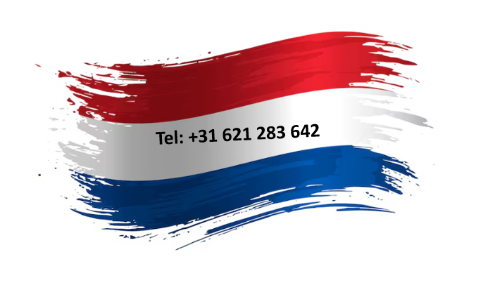 JacekTomasz  (JacekTomasz)