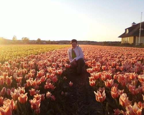 Tulipanki