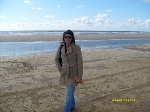 wijk
