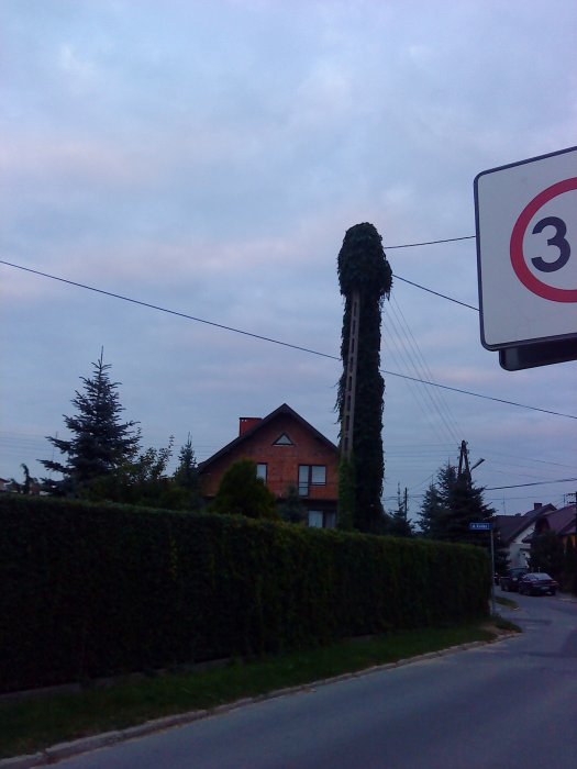 uliczny ch.j
