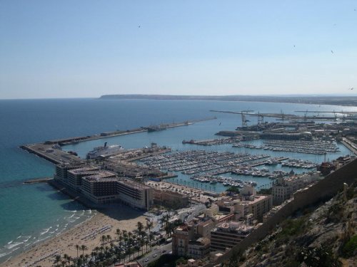 Kochany ocean