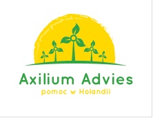 Axilium Advies