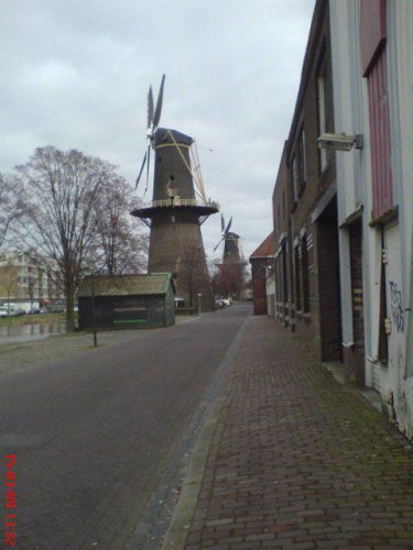 Schiedam