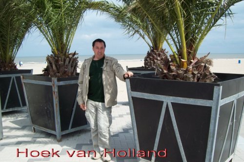 Hoek van Holland