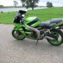 Limak Pole