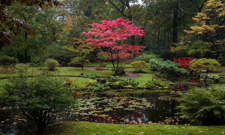 Ogród japoński w Hadze – dużo piękna w jednym miejscu