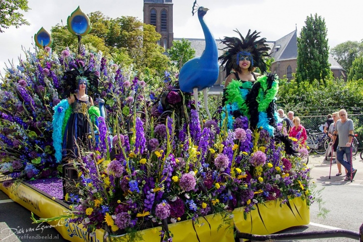 Kwiatowa parada po ulicach Rijnsburg, Katwijk i Noordwijk