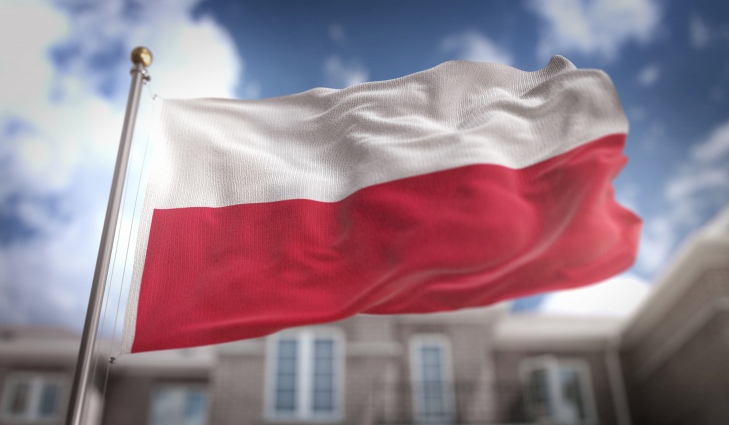 Piknik z okazji Dnia Polonii i Polaków za Granicą i Dnia Flagi RP