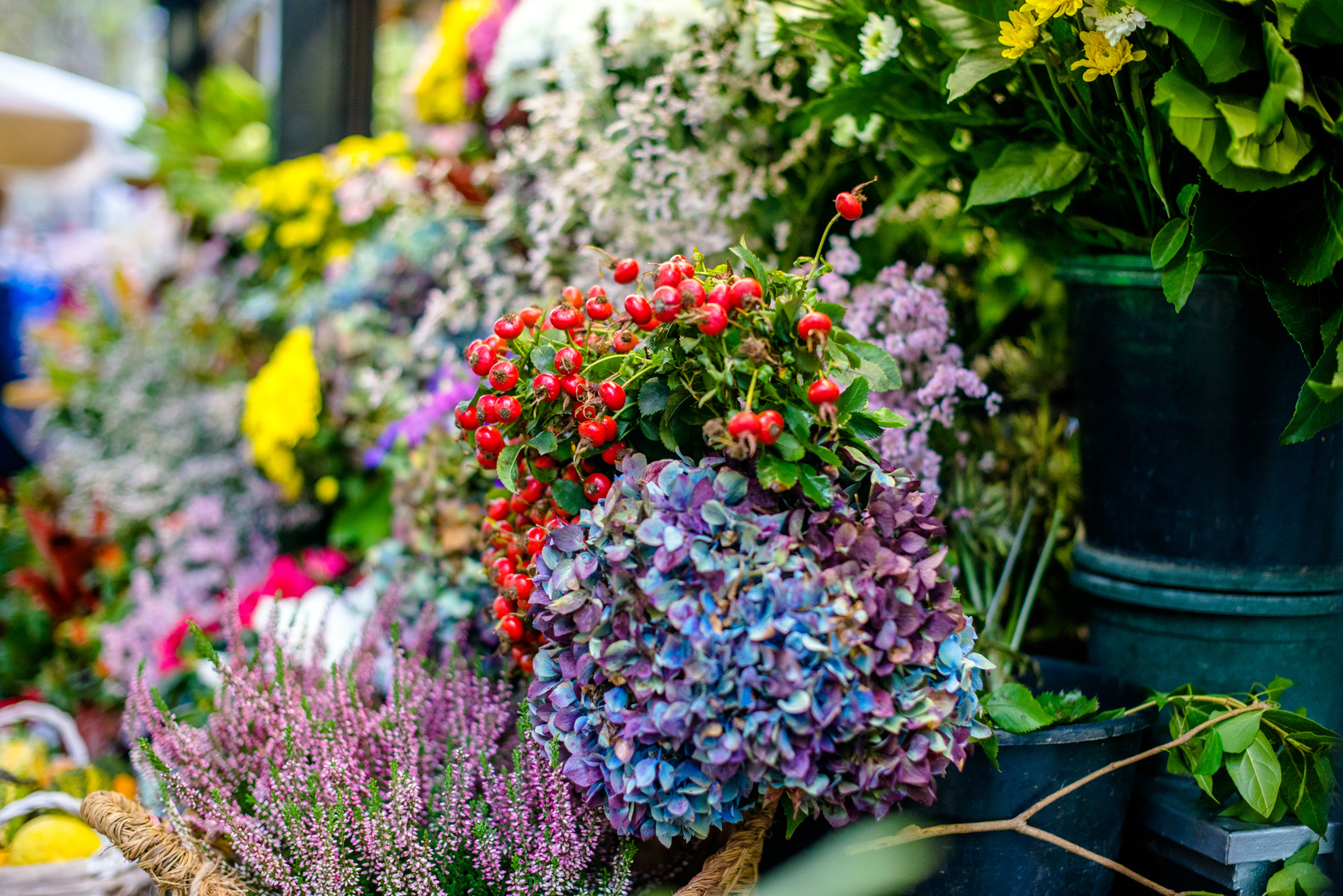 Krajowa wystawa kwiatów letnich w Naaldwijku w temacie flower power