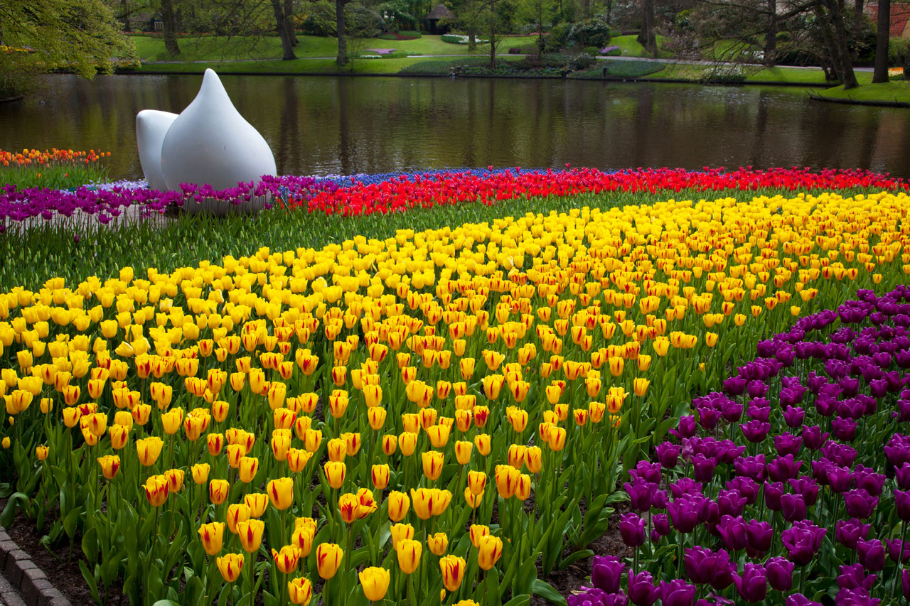 Międzynarodowe Targi Kwiatów: Keukenhof – Ogród Europy. Wiele kwiatów w rozkwicie!