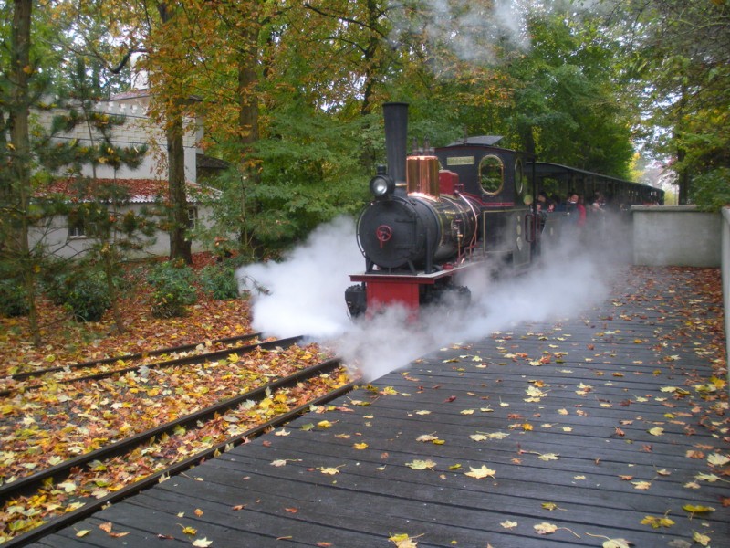 Przyjazd kolejki parowej w Efteling.