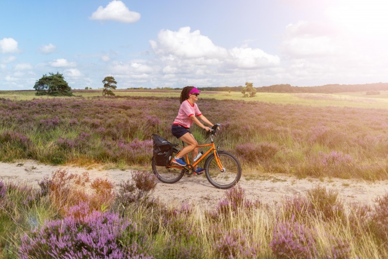 Park Veluwe