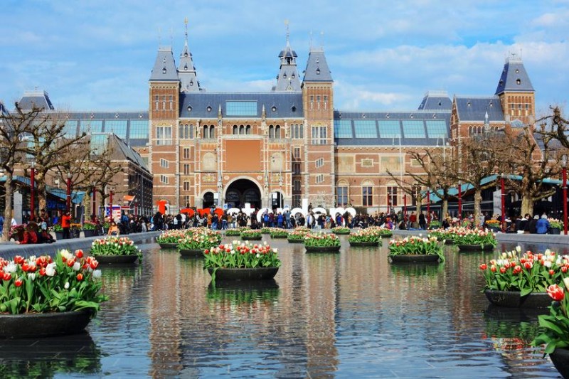 Rijksmuseum w Amsterdamie i tulipany
