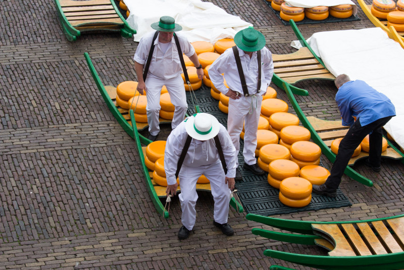 Kaasmarkt w Alkmaar