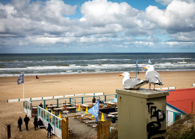 Zandvoort