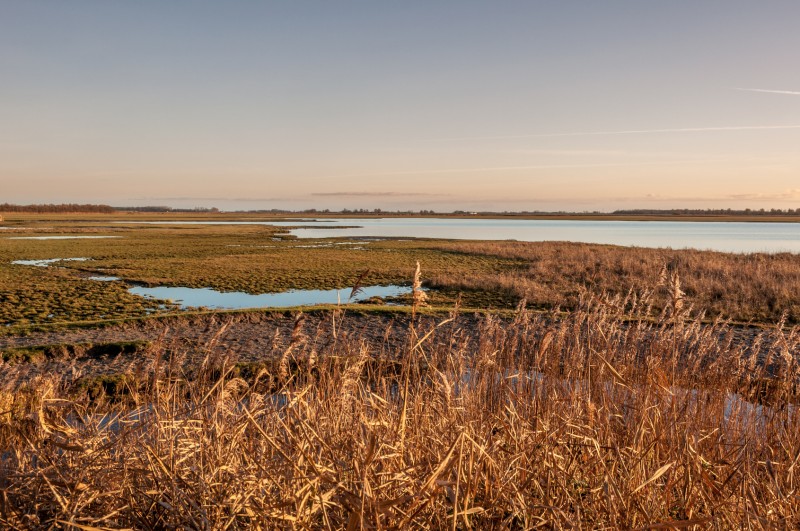 Lauwersmeer