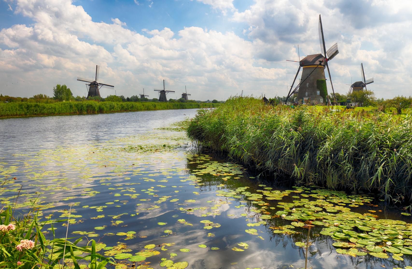 Kinderdijk