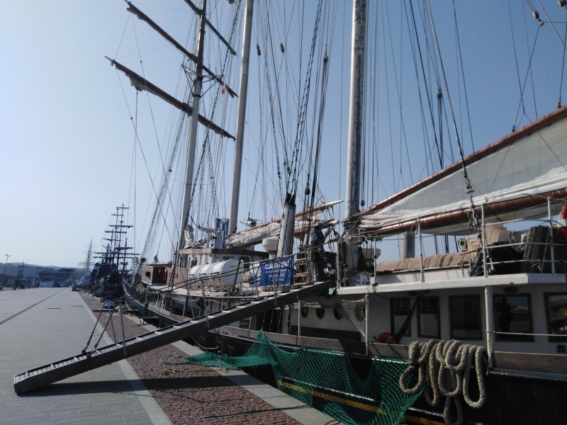Więcej zdjęć Gulden Leeuw na Nabrzeżu Pomorskim w Gdyni