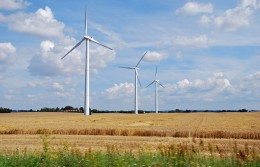 Wzrost zużycia energii odnawialnej w Holandii.