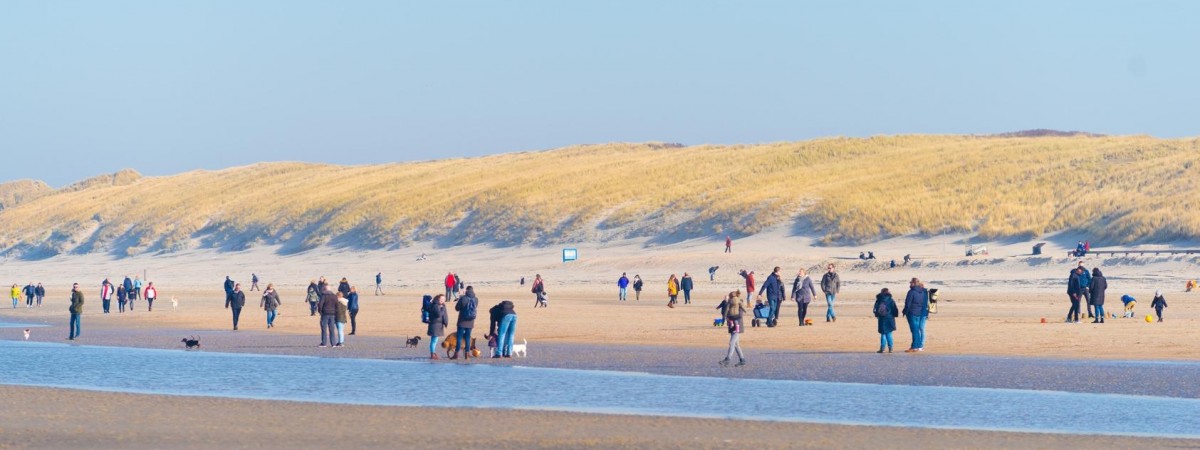 Słońce, piasek, woda, czyli wakacyjny przegląd najlepszych plaż w Holandii