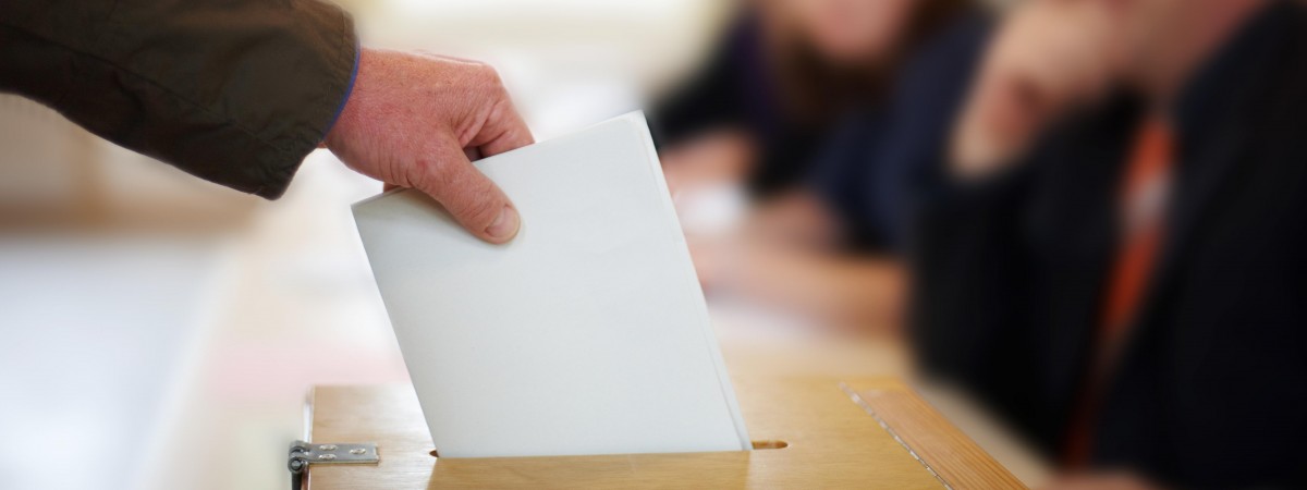 Wybory parlamentarne 2023 i referendum. Jak głosować w Holandii? 