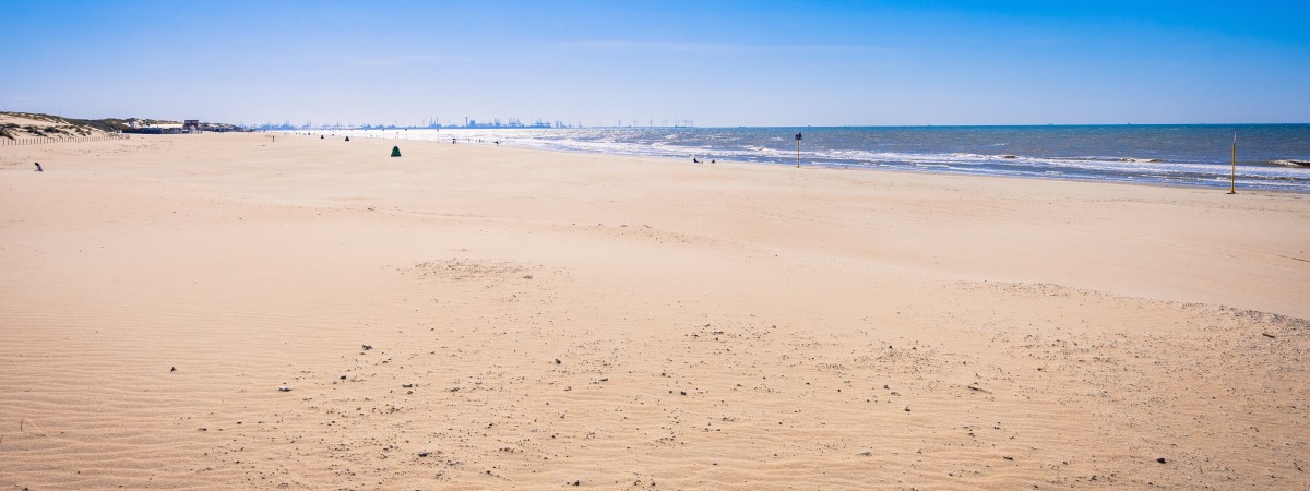 Holandia: Polacy zatrzymani za wulgarne zachowanie na plaży. Pokazywali genitalia w obecności dzieci