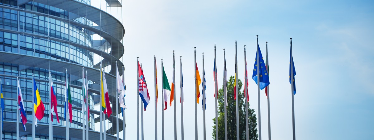 Niderlandzka posłanka wzywa do obrony europejskiej demokracji. Polska i Węgry znów na celowniku 