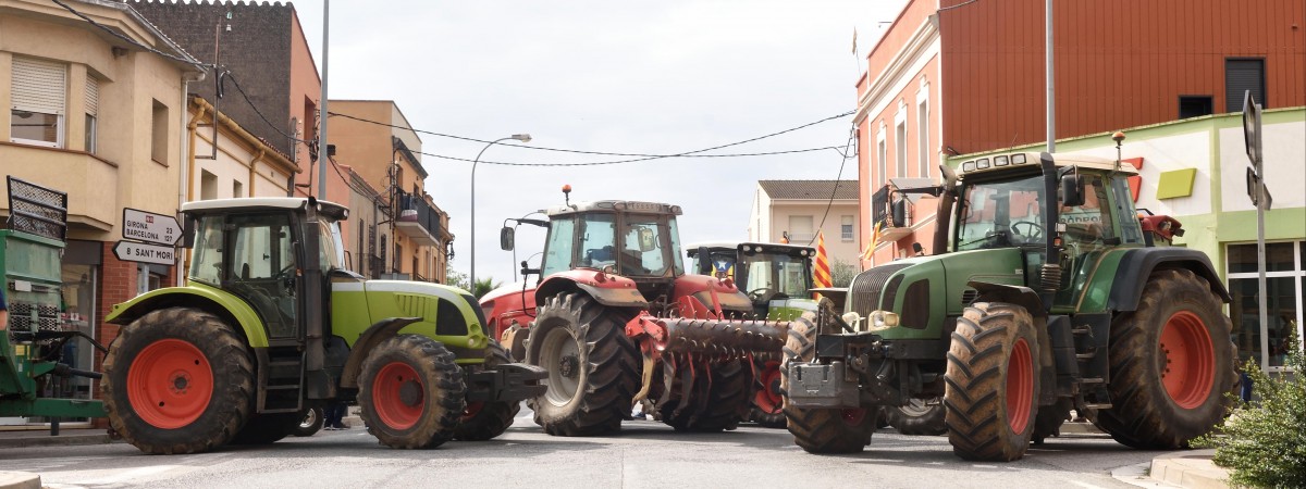 Wielki protest rolników w Holandii. Zablokowano supermarkety i drogi, a policja zaleca pracę zdalną