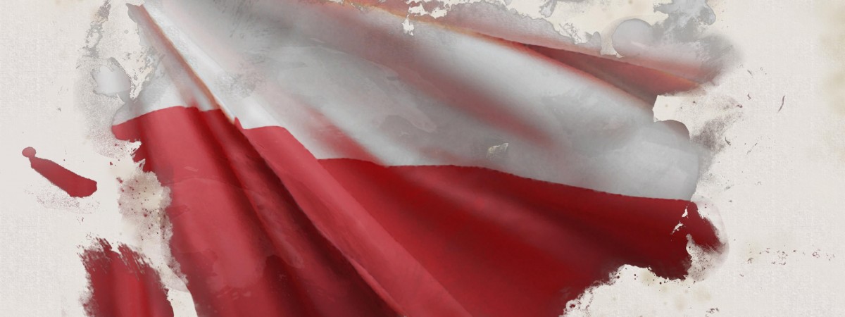 Polonia wybrała prezydenta Polski. Wyniki i frekwencja II tury wyborów w Niderlandach 