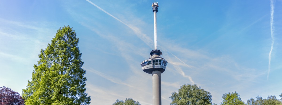 Podziwiaj Niderlandy z góry. TOP 5 punktów widokowych w kraju tulipanów
