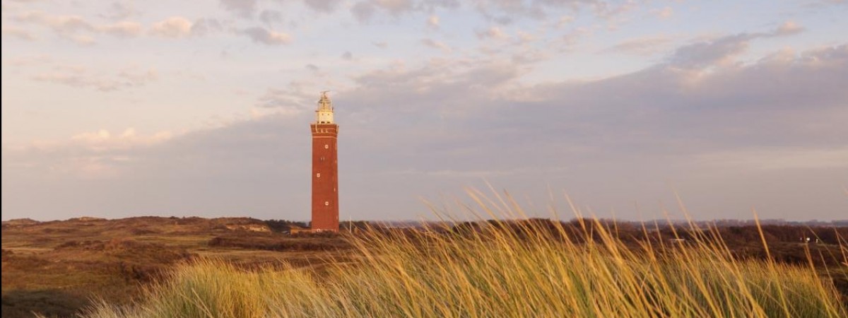 Najczystsza plaża w Holandii leży w prowincji Zuid-Holland