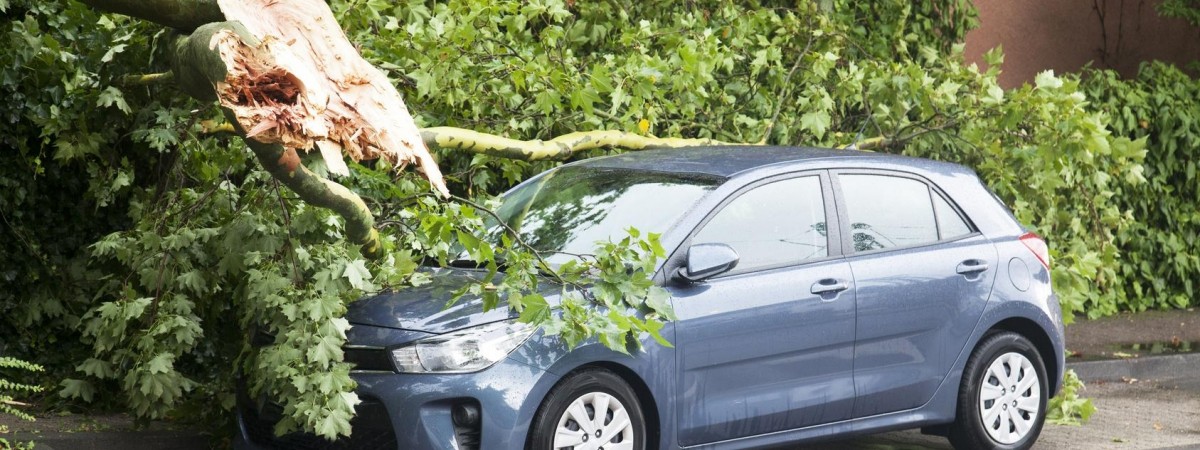 Straszliwa wichura pustoszy Holandię - trzy osoby nie żyją