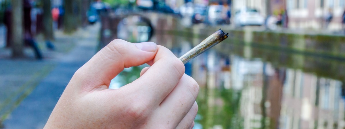 Marihuana na cenzurowanym: nowe prawo w Hadze