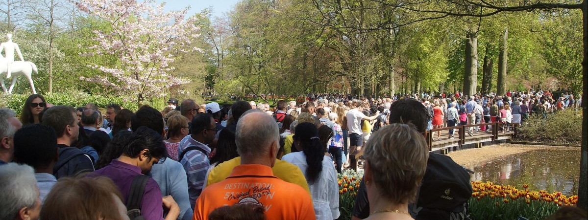 Keukenhof przeżyło wielkanocne oblężenie. Zabrakło miejsca dla wszystkich