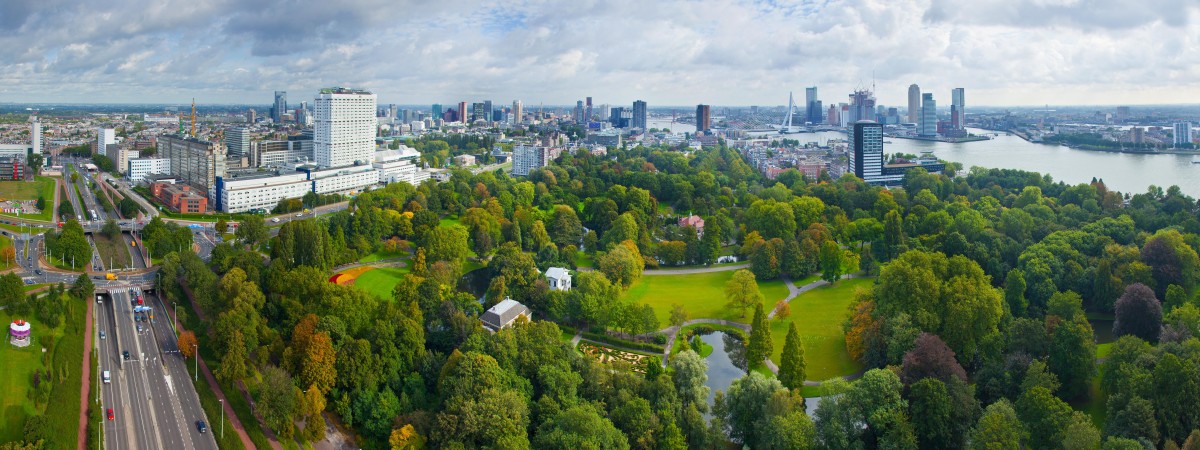 Najbardziej zielone dzielnice mieszkalne w Niderlandach. Wyniki badań Nature & Environment