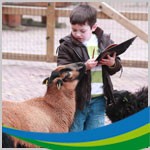 Kinderboerderij - małe zoo dla dzieci