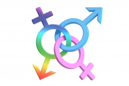 Precz z tym słowem 2017 - Genderneutraal