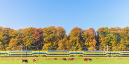 Nie wiesz, czy znajdziesz miejsce w pociągu? Sprawdź to w aplikacji!