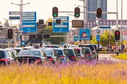 Holenderscy studenci powinni mieć zajęcia poza godzinami szczytu, by rozładować ruch w trakcie newra