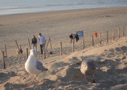 Na plażę… z parawanem lub bez.  cz.1