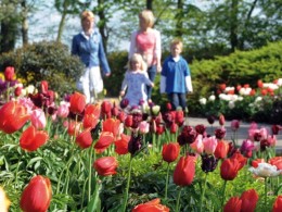 Ogrody Keukenhof – czyli wiosna w Amsterdamie